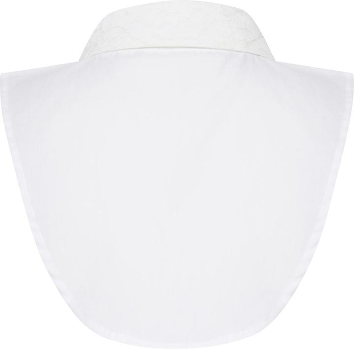 Image du produit Fransa FRFAZACOLLAR 1 Accessoires 20606716 (S/M)