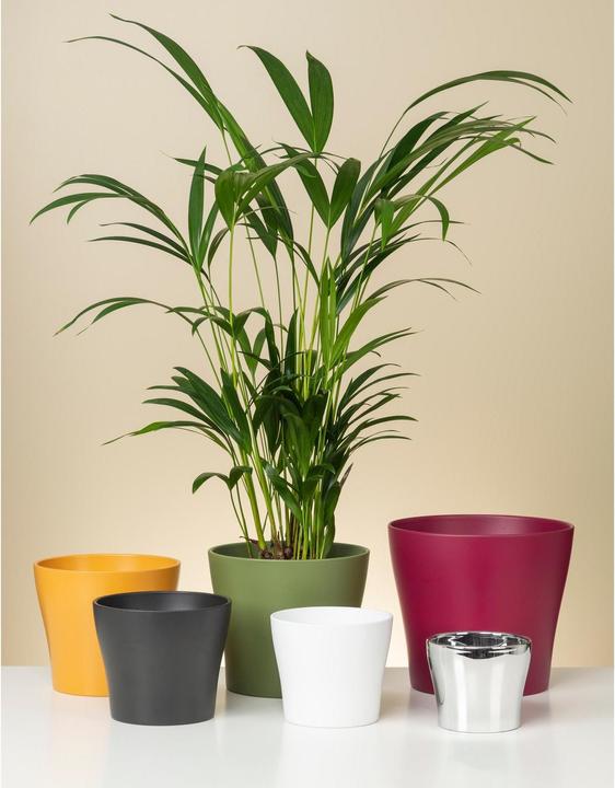 Immagine prodotto Scheurich Vaso da fiori Antracite Ø 24 cm (23.80 cm)
