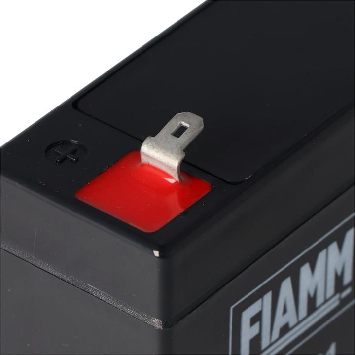 Actual product image Fiamm Battery FG10721 (6 V, 7.20 Ah)