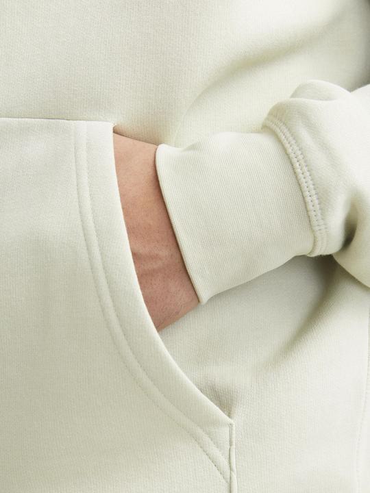 Image du produit Jack & Jones Jorroxbury Back Sweat Hood Ln (M)