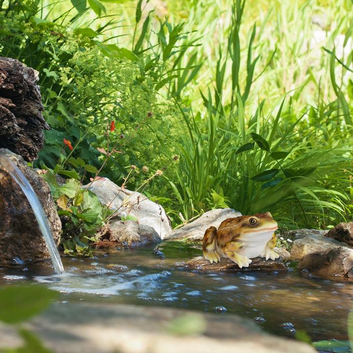 Produktbild Relaxdays Gartenfigur Frosch