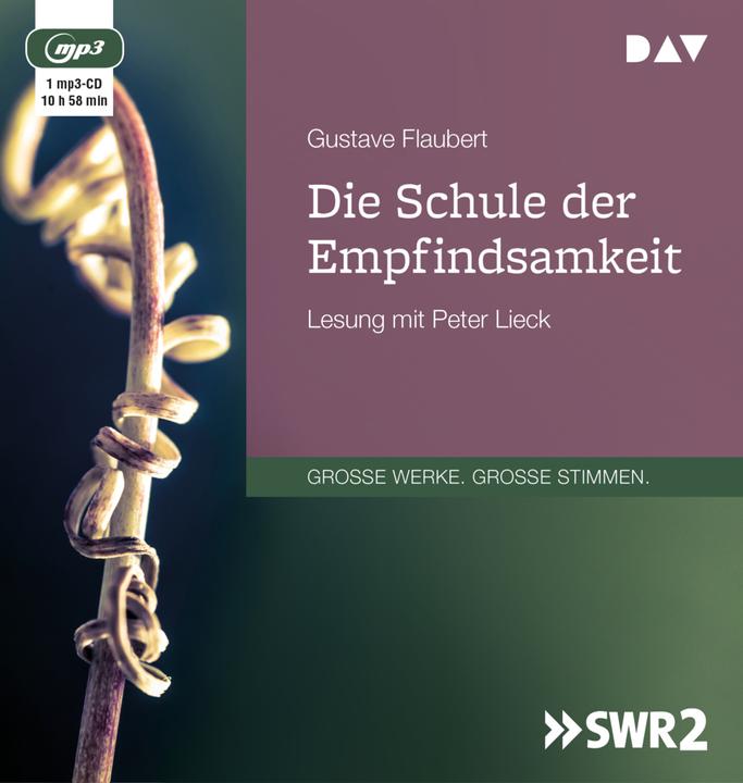 Produktbild Die Schule der Empfindsamkeit (Peter Lieck, Andrew Barbey, Gustave Flaubert, Deutsch)