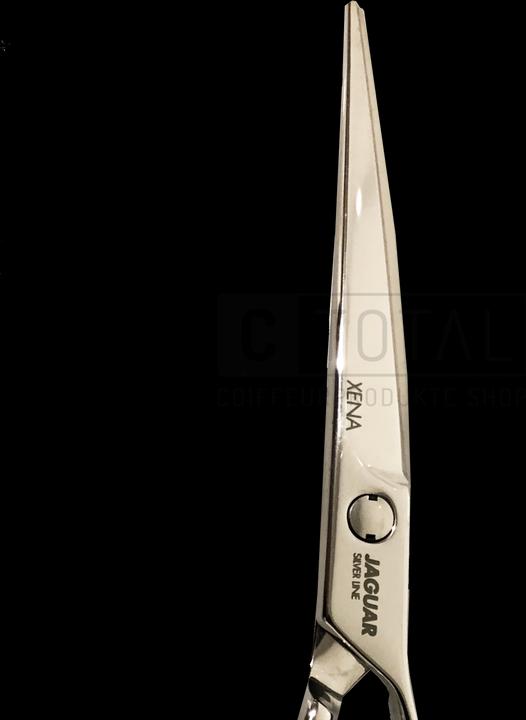 Produktbild Jaguar Silver Line Xena 6,0 Haarschere