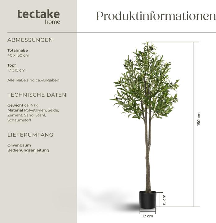 Produktbild tectake Olivenbaum Oleand (150 cm)
