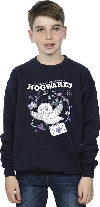 Immagine prodotto Owl Letter From Hogwarts Felpa Ragazzi (104)