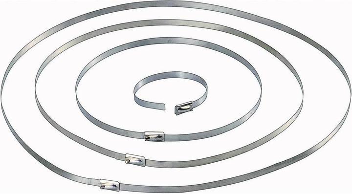Tru Components Stahl-Kabelbinder (Metallkabelbinder, 201 mm, 10 Stk.)