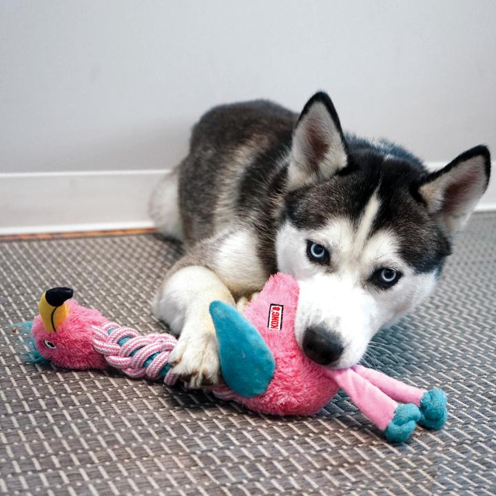 Produktbild KONG Knots Twists (Plüschspielzeug Hund)