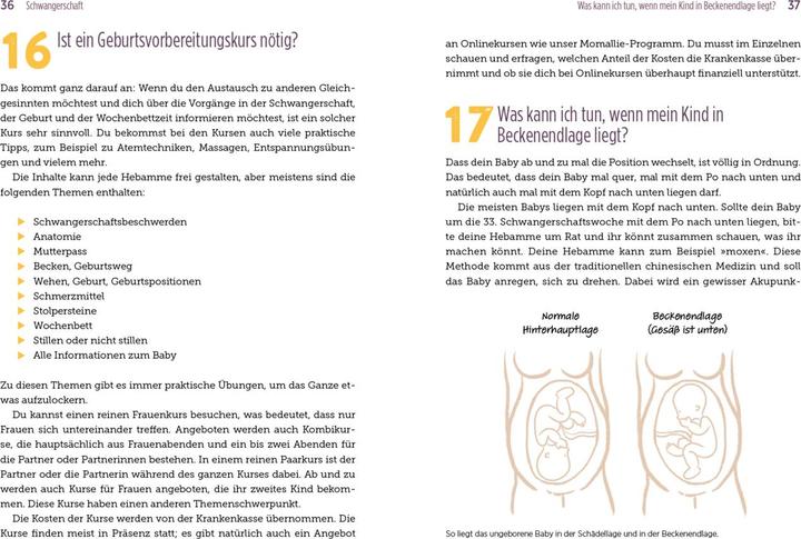 Actual product image 100 Fragen an deine Hebamme (German, Julia Brömsen, Jasmin Czech, 2023)