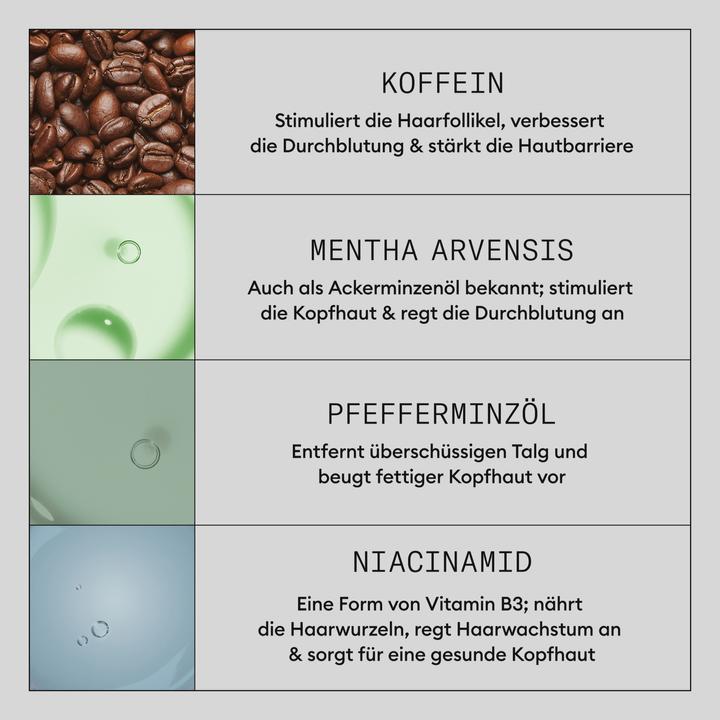 Produktbild Nioxin Density Defend Diaboost (100 ml)