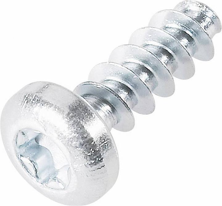 Actual product image Toolcraft Plastic grooved screw (100 Screws per piece)