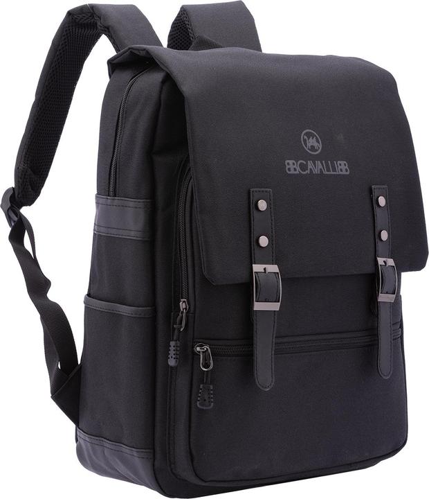 Actual product image B.Cavalli Bc1290 (5.16 l)