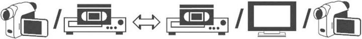 Image du produit SpeaKa Professional Câble de connexion S-Vidéo (1x S-Vidéo mâle (5 m, Autre)