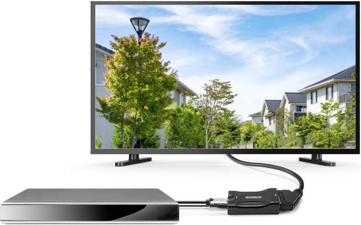 Immagine prodotto SpeaKa Professional HDMI (Type E) — HDMI (Typ A) (Convertitore videocamera)