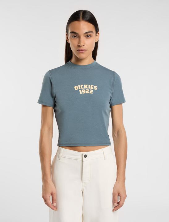 Produktbild Dickies Center Logo Ss Tee W Stormy Weather (S)