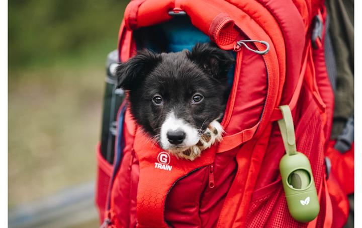 Immagine prodotto Kurgo G-Train K9 (Cane, Chiusura di sicurezza)