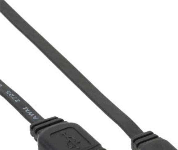 Actual product image InLine USB type A - Mini USB B (1 m, USB 2.0)