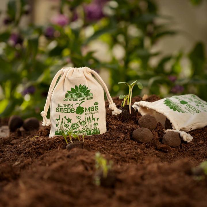 Actual product image Die Stadtgärtner Seed bombs Wild meadow (Lawn reseed)