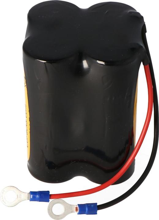 Actual product image AccuCell Battery CEAG W270, CEAG W270.2, W276.3, W286.3