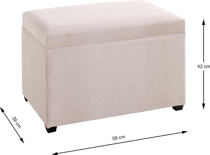 Image du produit HAKU Möbel Coffre-siège (58 cm)
