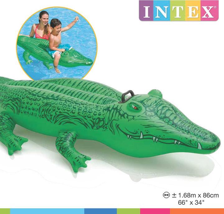 Actual product image Intex The Lil' Gator