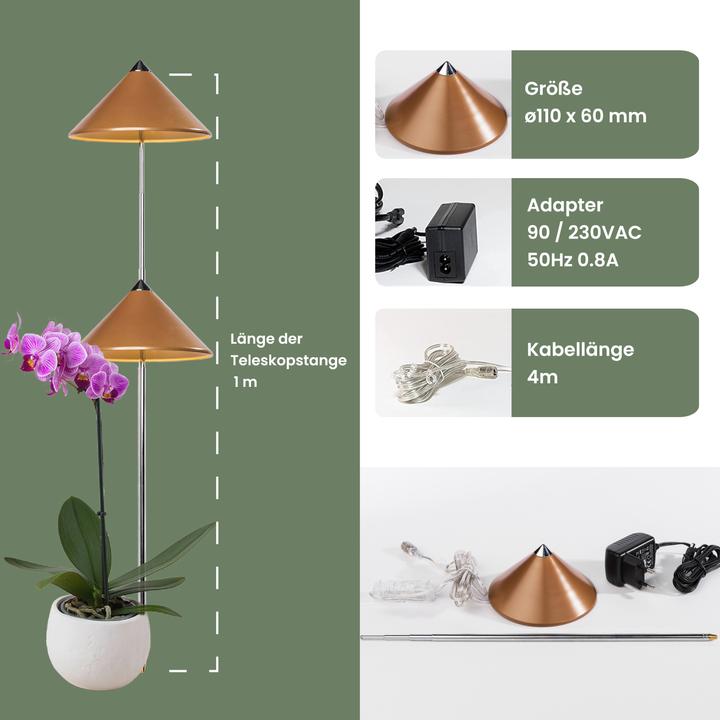 Produktbild Colibri Sunlite (LED, 230 V)