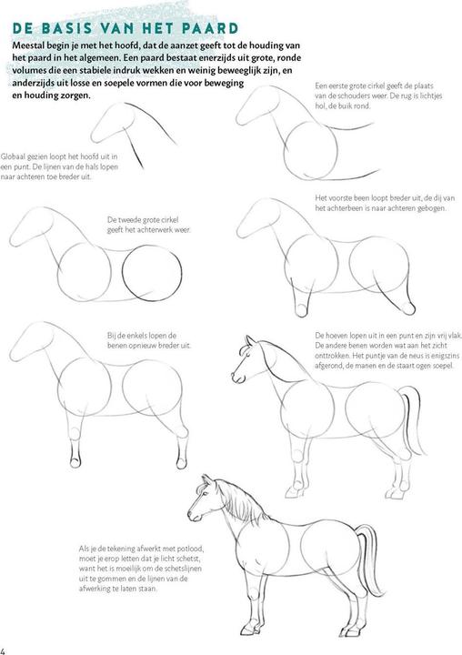 Immagine prodotto Impara a disegnare i cavalli passo dopo passo