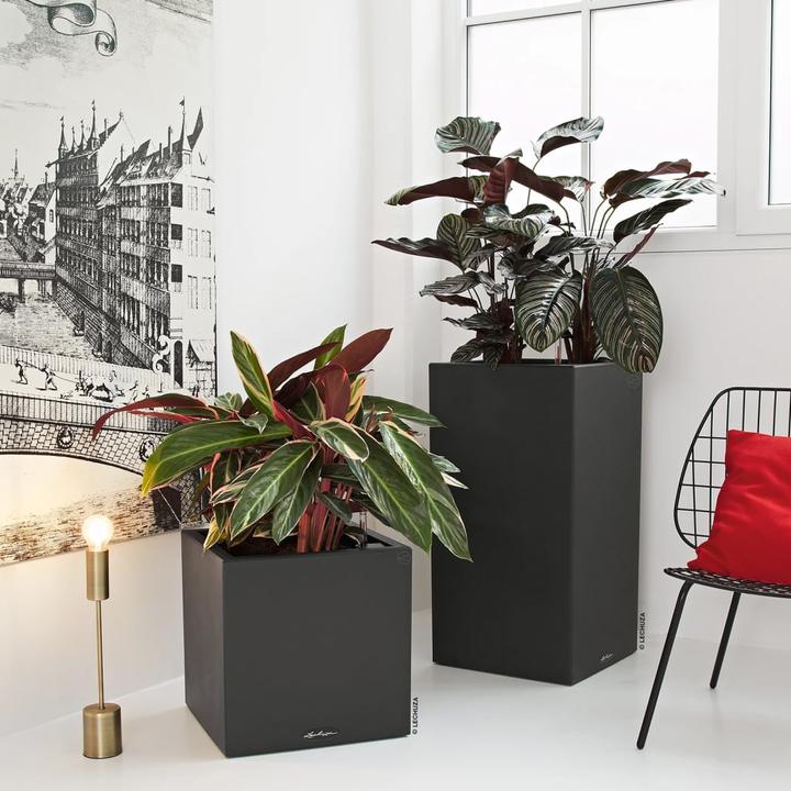 Image du produit Lechuza Canto Stone (40 cm)