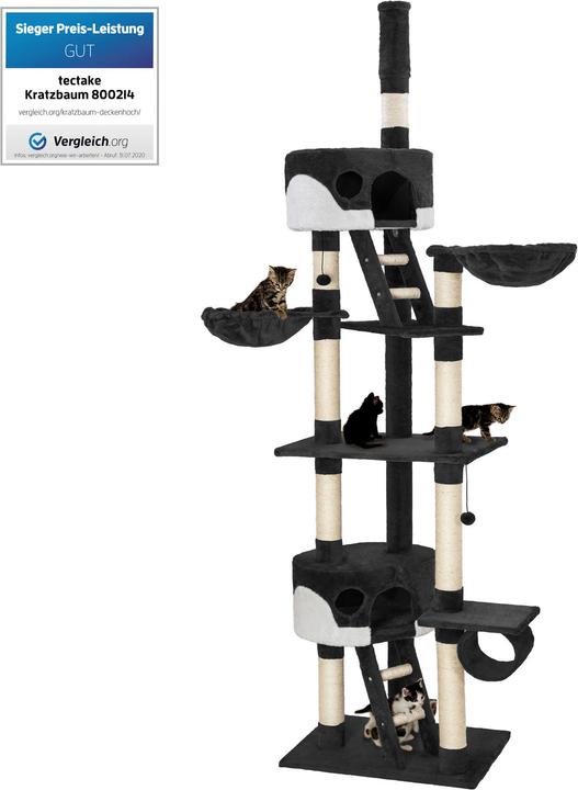 Immagine prodotto tectake Albero del gatto Hansi (260 cm, Bianco, Nero)