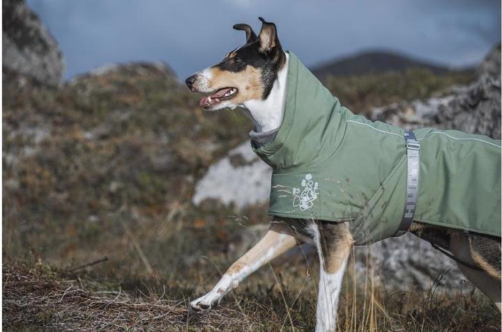 Actual product image Hurtta Winter coat Extreme Warmer wine red, 55 (M, Dog coat)