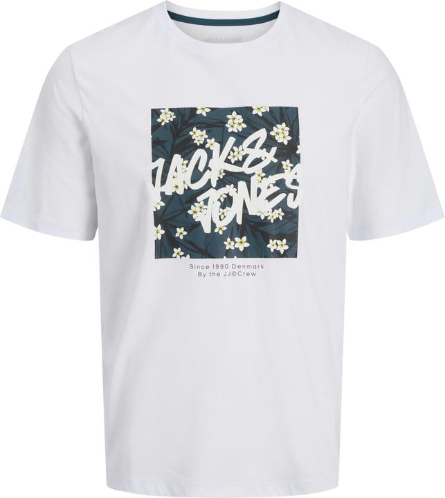 Image du produit Jack & Jones Jjhawaii Shape Tee Ss Crew Neck 5p Pls (4XL)