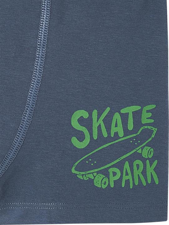 Immagine prodotto Vertbaudet Confezione da 5 boxer da ragazzo elasticizzati, skater (104, Confezione da 5 pezzi)