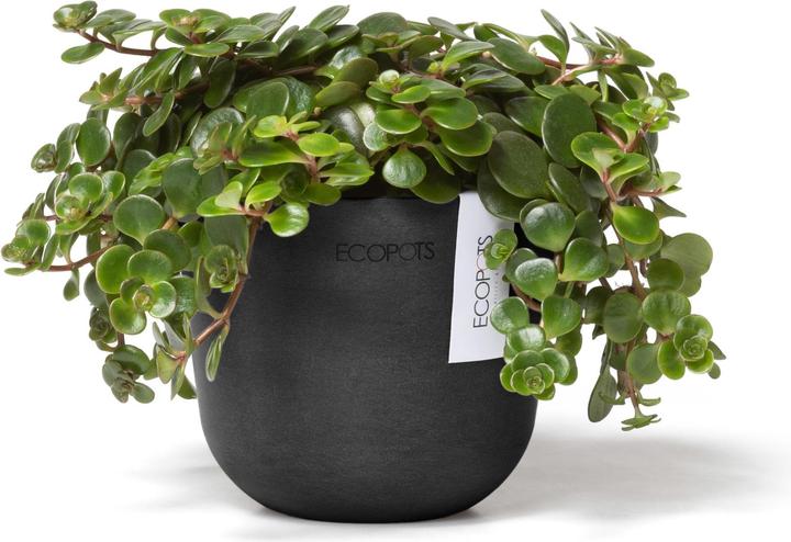 Image du produit Ecopots Oslo Mini (16 cm)