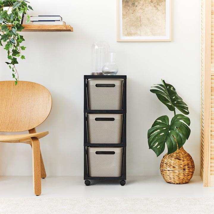 Image du produit Rotho Tower Brisen (30 x 35 x 38 cm)