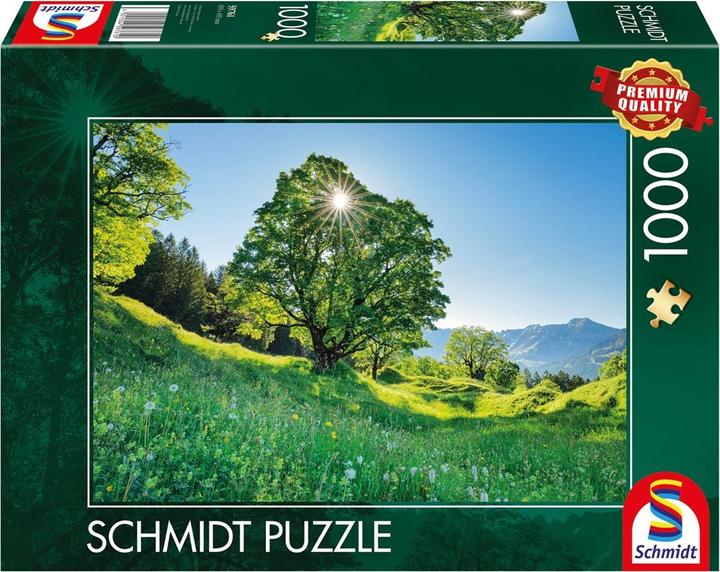 Actual product image Schmidt Spiele Mountain Maple in Sunlight St. Gallen 1000 pieces (1000 pieces)