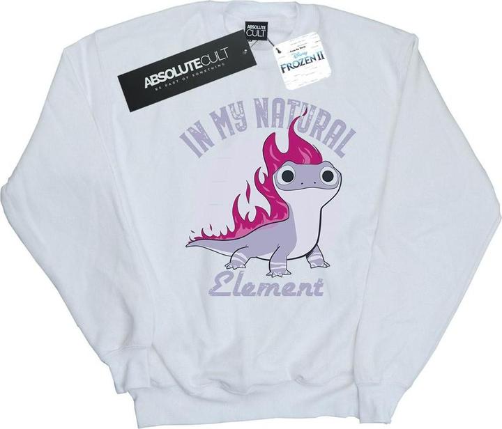 Produktbild Disney Frozen 2 Salamander Bruni Element Sweatshirt (XXL)