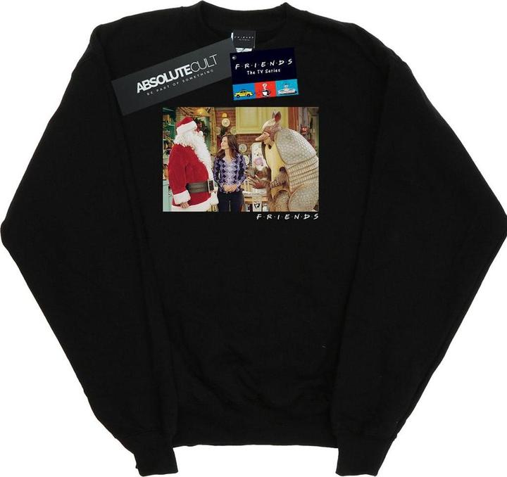 Friends The Holiday Armadillo Sweatshirt