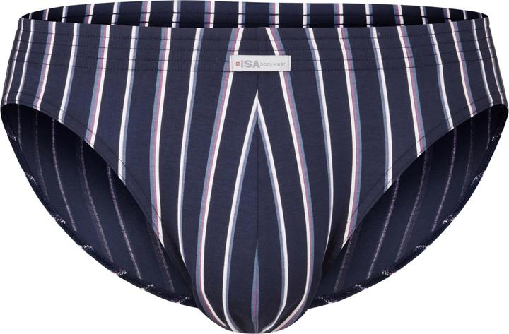 ISA Bodywear Slip