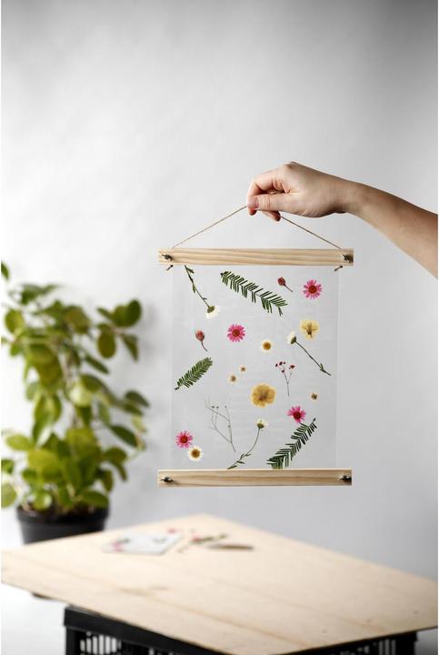 Actual product image Creativ Company Pressed flowers (2 x 15 x 20 cm)