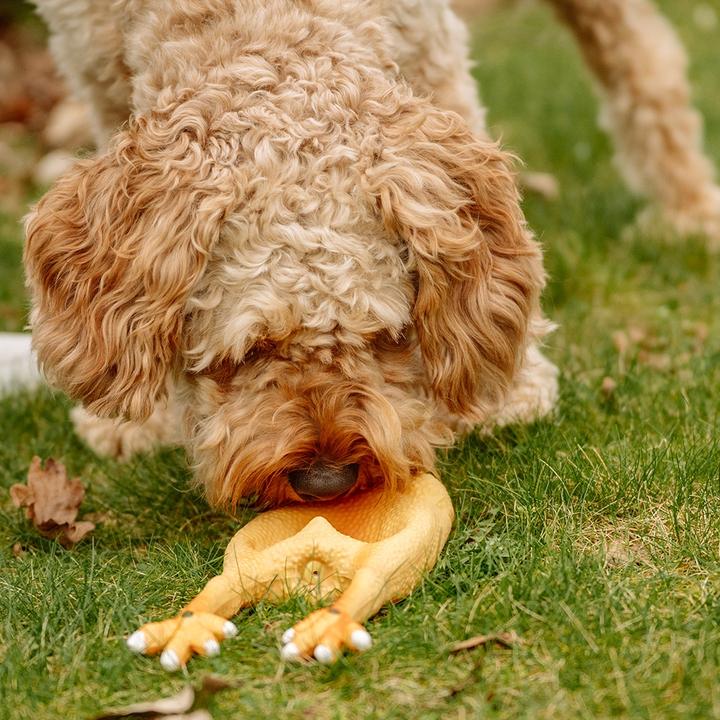 Immagine prodotto Nobby Pollo in lattice (Cane giocattolo da tiro)