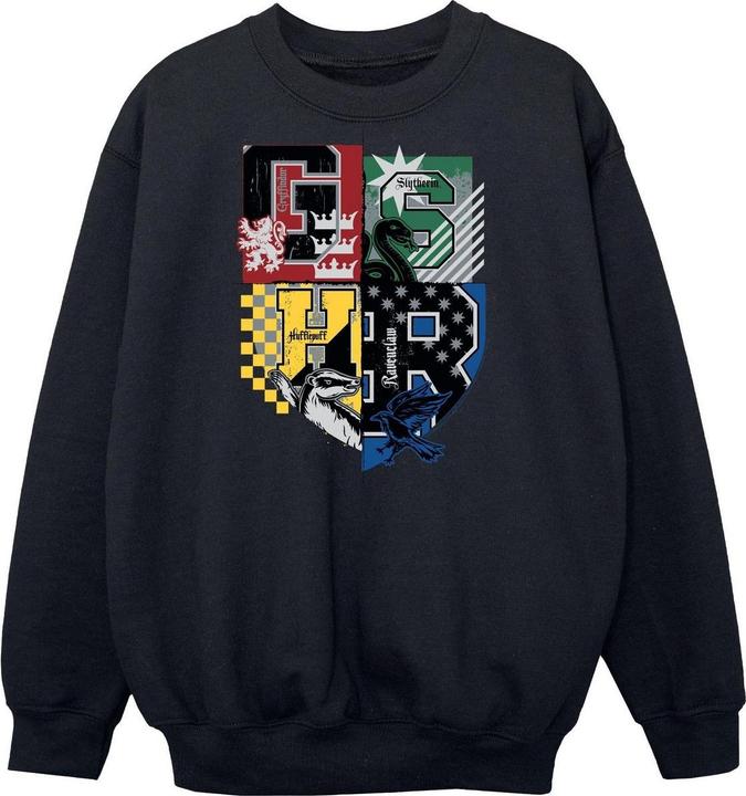 Image du produit Sweatshirt garçon (152, 158)