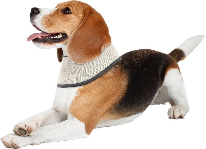 Image du produit Swisspet Écharpe rafraîchissante (S, Bandana pour chien)
