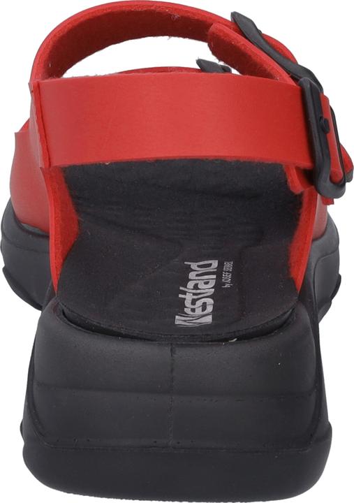 Image du produit Westland 19806-481 (37)