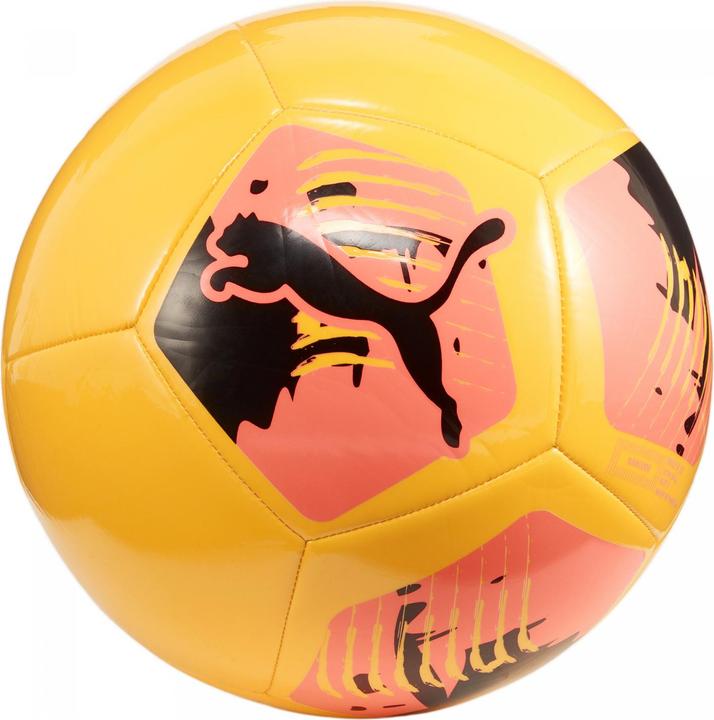 Actual product image Puma Big Cat ball