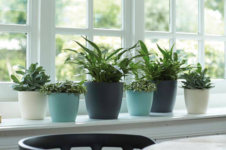 Produktbild Elho Brussels (22.30 cm)