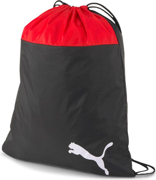 Actual product image Puma teamGOAL 23 Gym Sack-076853 (111 l)