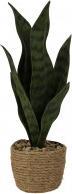 IKO Pianta verde (34 cm)