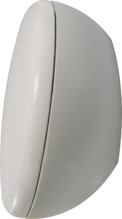 Actual product image somfy Brightness sensor