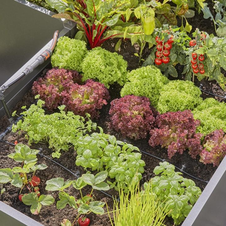 Image du produit Gardena Bouchon de fermeture 4,6 mm (Irrigation goutte à goutte Connecteur + dérivation)