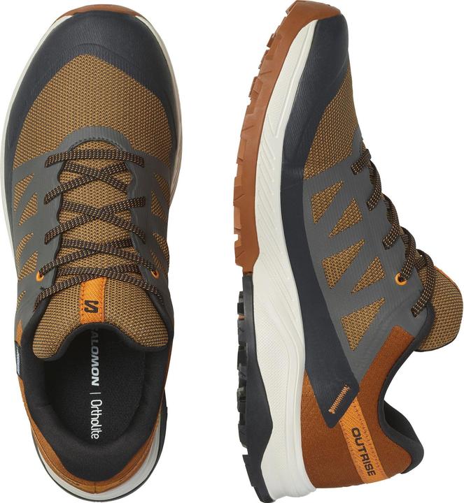 Image du produit Salomon Outrise GTX (42)