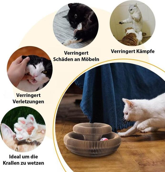 Actual product image Hermex Cat toys (Cat activity toy)